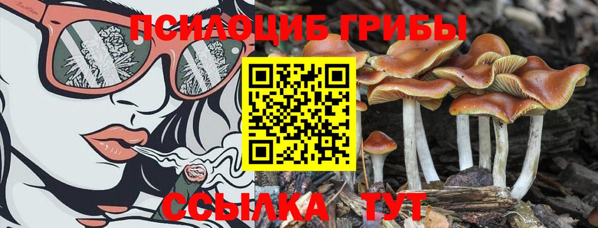 Псилоцибиновые грибы ЛСД Луга