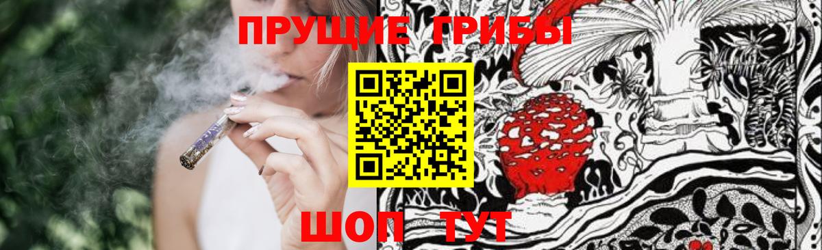 Псилоцибиновые грибы ЛСД  Вход с VPN  Галлюциногенные грибы Cubensis  Луга 